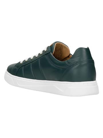 Wojas Leren sneakers groen
