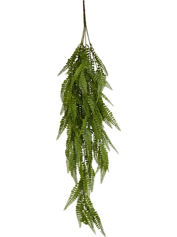 heine home Kunstplant "Adiantum'' groen - (B)23 x (H)88 x (D)8 cm