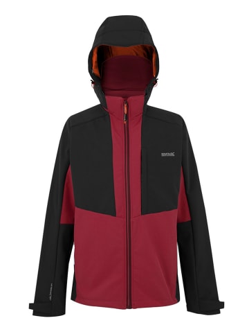 Regatta Softshelljacke "Hewitts" in Bordeaux