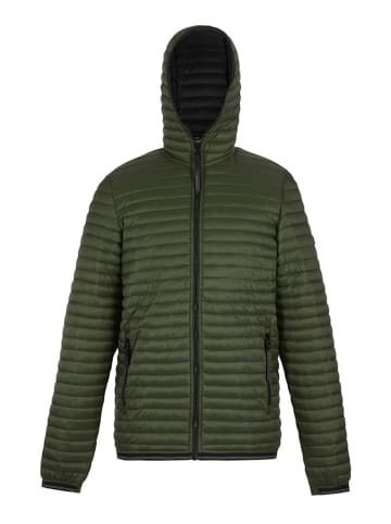 Regatta Steppjacke "Rigain" in Khaki