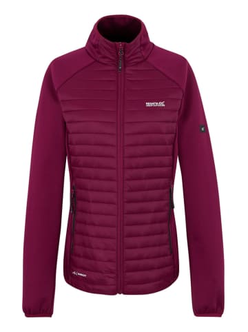 Regatta Hybridjacke "Clumber" in Pink