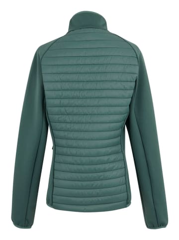 Regatta Hybridjacke "Clumber" in Türkis