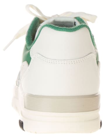 GANT Footwear Leder-Sneakers in Grün/ Weiß