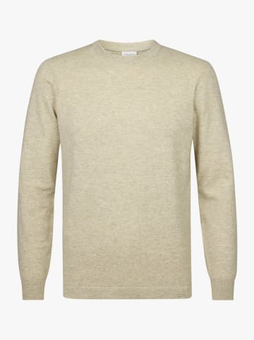 PROFUOMO Trui groen