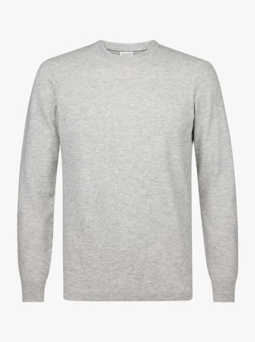 PROFUOMO Trui grijs