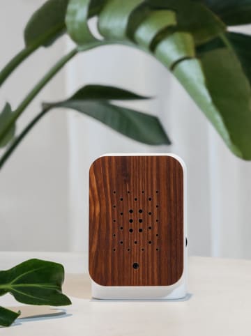 Zwitscherbox Junglebox in Braun - (B)8 x (H)12,2 x (T)4,7 cm