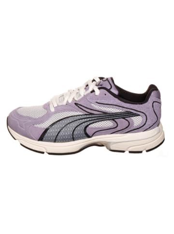 adidas Sneakers "Extos Collector" paars