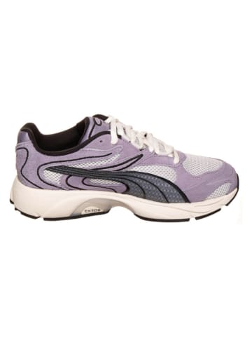 adidas Sneakers "Extos Collector" in Lila
