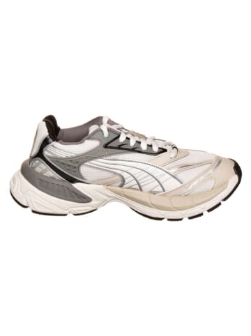 adidas Sneakers "Velophasis Always On" wit/beige