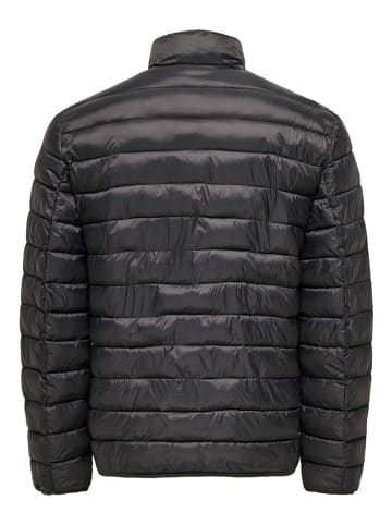 ONLY & SONS Kurtka pikowana "Gavin" w kolorze czarnym