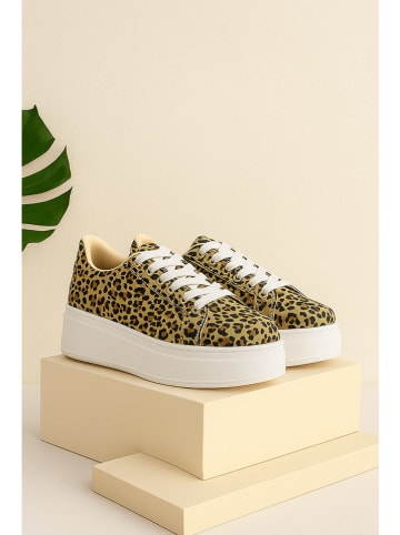 Bellucci Sneakers lichtbruin