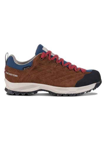DACHSTEIN Leder-Wanderschuhe "SF-21 GTX 1925 WMN" in Braun