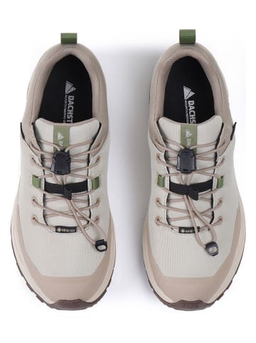 DACHSTEIN Wanderschuhe "Delta Peak GTX WMN" in Beige