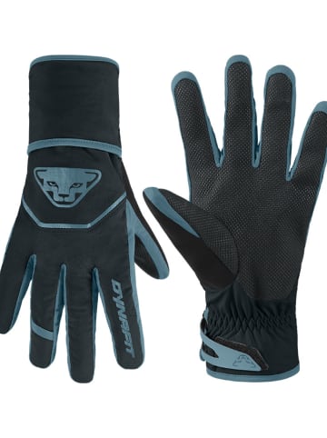 DYNAFIT Ski-Handschuhe "Mercury" in Schwarz/ Blaugrau