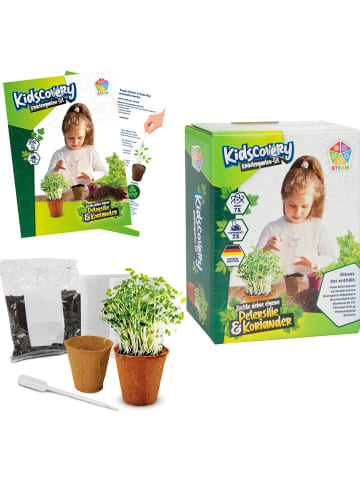 Toi-Toys Experimentierset "Kräutergarten" - ab 4 Jahren