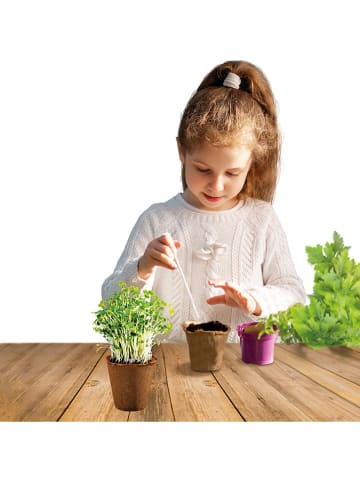 Toi-Toys Experimentierset "Kräutergarten" - ab 4 Jahren