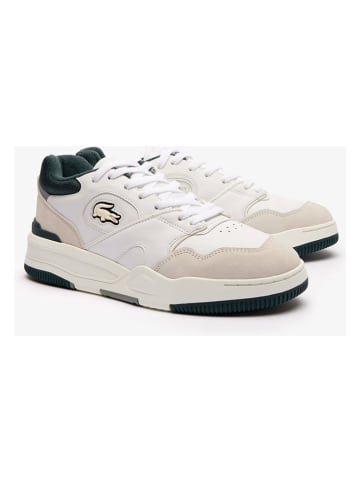 Lacoste Leder-Sneakers in Weiß/ Beige