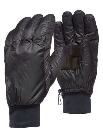 Black Diamond Handschuhe "Stance" in Schwarz