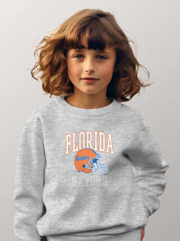American Universities Sweatshirt "Florida University Gators" in Grau