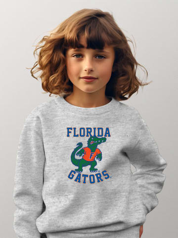 American Universities Sweatshirt "Florida University Alligator" in Grau