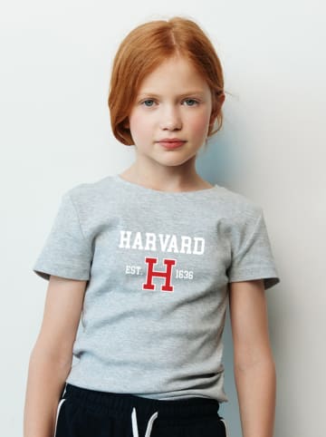 American Universities Shirt "Harvard Est 1636" in Grau