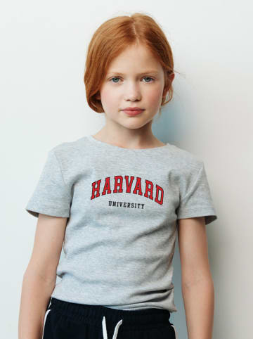 American Universities Shirt "Harvard University" in Grau