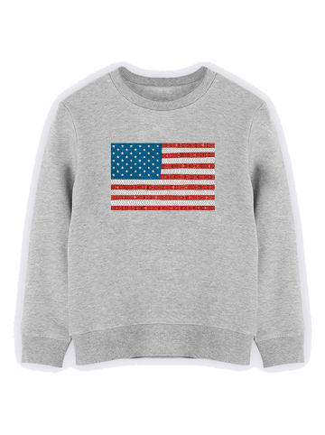 WOOOP Sweatshirt "USA" in Grau