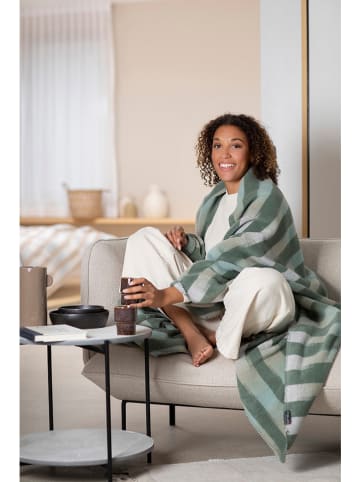 David Fussenegger Koc w kolorze kremowo-beżowym