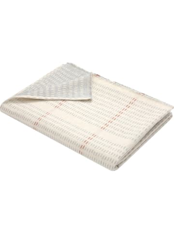 David Fussenegger Flanelldecke "Luca" in Creme