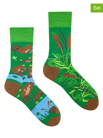 Spox Sox 2er-Set: Socken in Grün