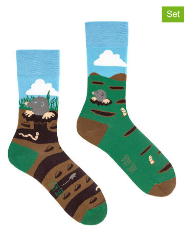 Spox Sox 2er-Set: Socken in Hellblau/ Braun/ Grün