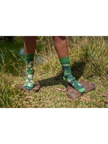 Spox Sox 2er-Set: Socken in Grün/ Beige