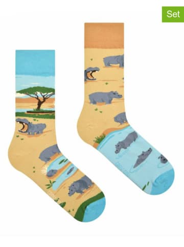 Spox Sox 2er-Set: Socken in Beige/ Hellblau