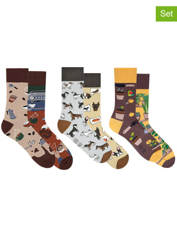 Spox Sox 3er-Set: Socken in Beige/ Braun/ Creme