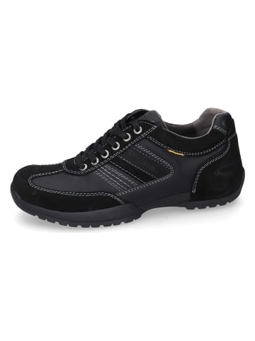 Camel Active Leder-Sneakers in Schwarz