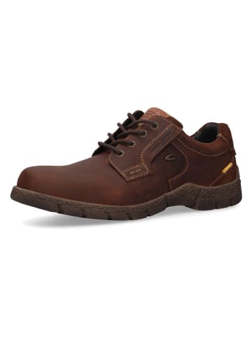 Camel Active Leder-Schnürschuhe in Hellbraun