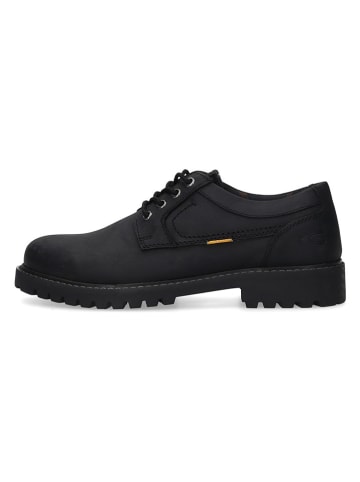 Camel Active Leren veterschoenen zwart