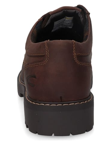 Camel Active Leder-Schnürschuhe in Braun