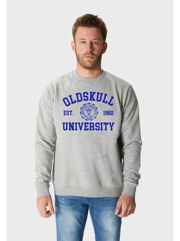 OLDSKULL Bluza w kolorze szarym