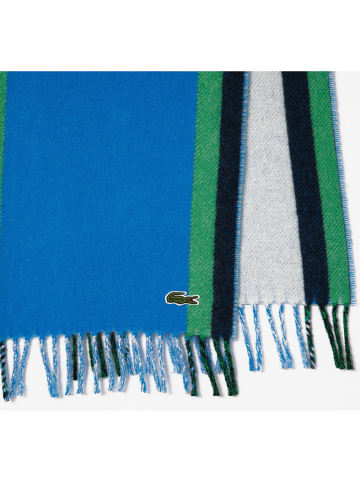 Lacoste Wollschal in Blau
