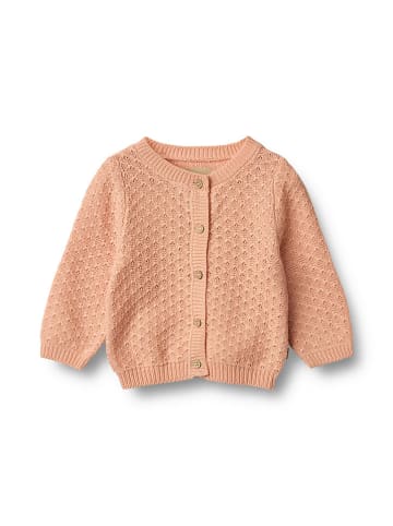 Wheat Cardigan "Magnella" in Apricot