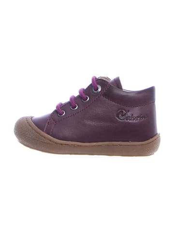 Naturino Leren loopleerschoenen "Cocoon" paars