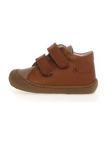 Naturino Leder-Sneakers "Cocoon" in Hellbraun