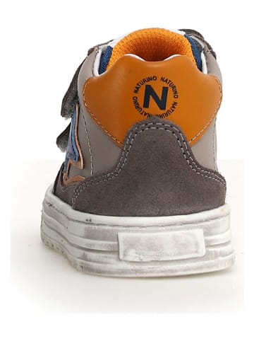 Naturino Leren sneakers antraciet/oranje
