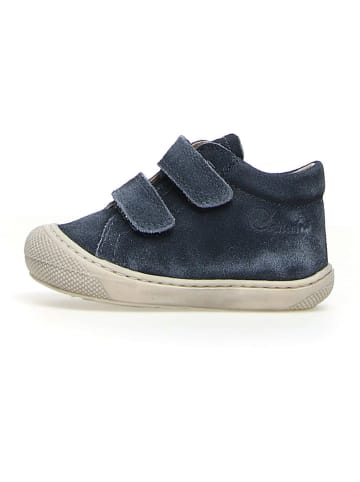 Naturino Leder-Lauflernschuhe "Cocoon" in Dunkelblau