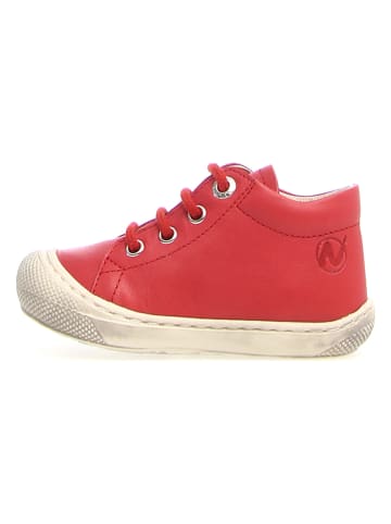Naturino Leder-Sneakers in Rot