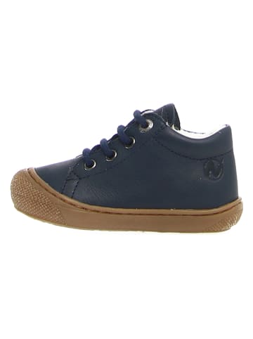 Naturino Leder-Sneakers "Coco" in Dunkelblau