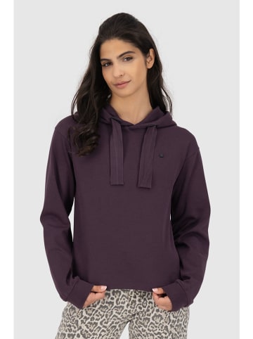 alife and kickin Pullover "BrandyAK" in Aubergine