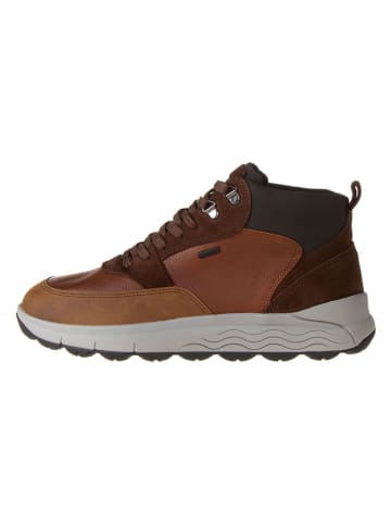 Geox Leder-Boots "Spherica" in Braun/ Grau
