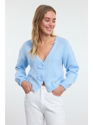 trendyol Cardigan in Hellblau